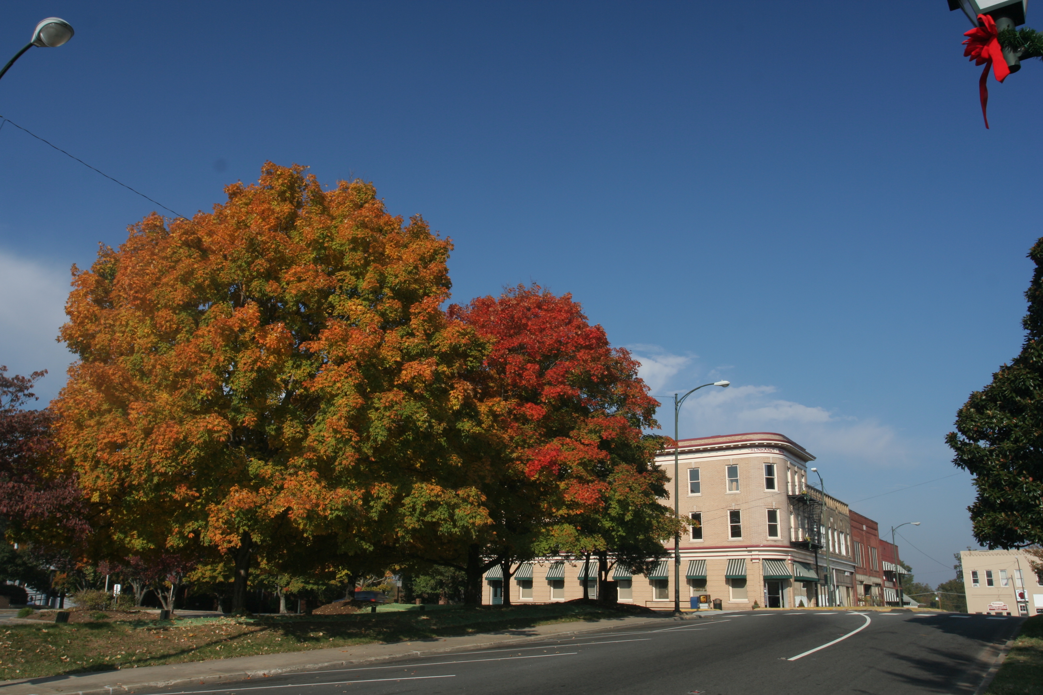 Trees changing for Fall